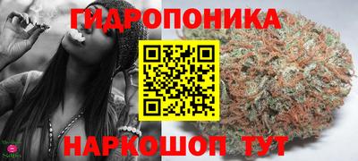молекула духа Лесосибирск