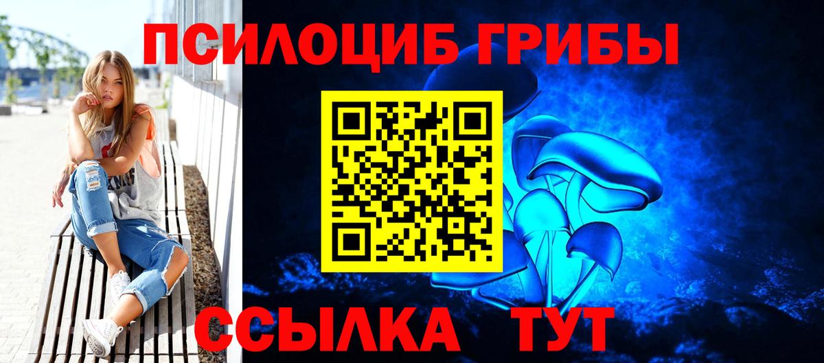 Галлюциногенные грибы Psilocybe  Вход с VPN  Галлюциногенные грибы мухоморы  даркнет сайт  Ирбит 