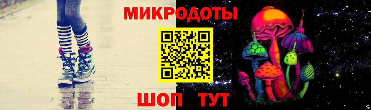 Галлюциногенные грибы Psilocybe Ирбит